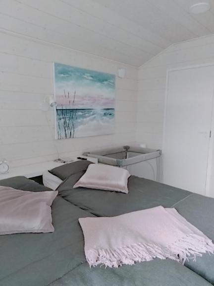 Ala-Temmes B&B Villa Helmi מראה חיצוני תמונה